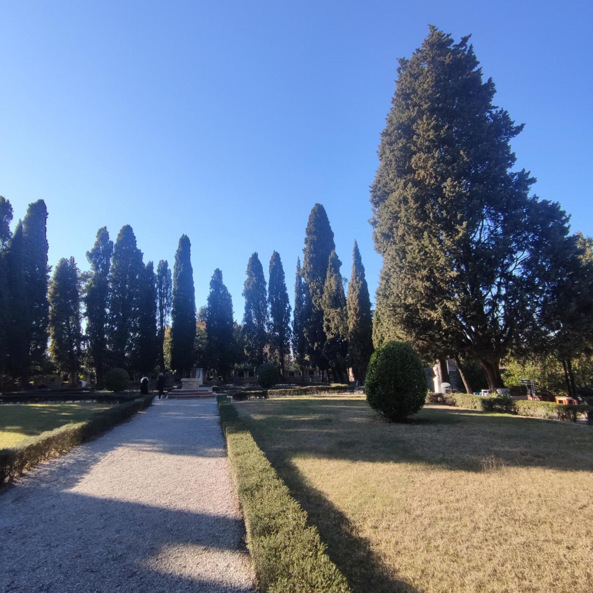 Bbconegliano Borlini Lägenhet Exteriör bild